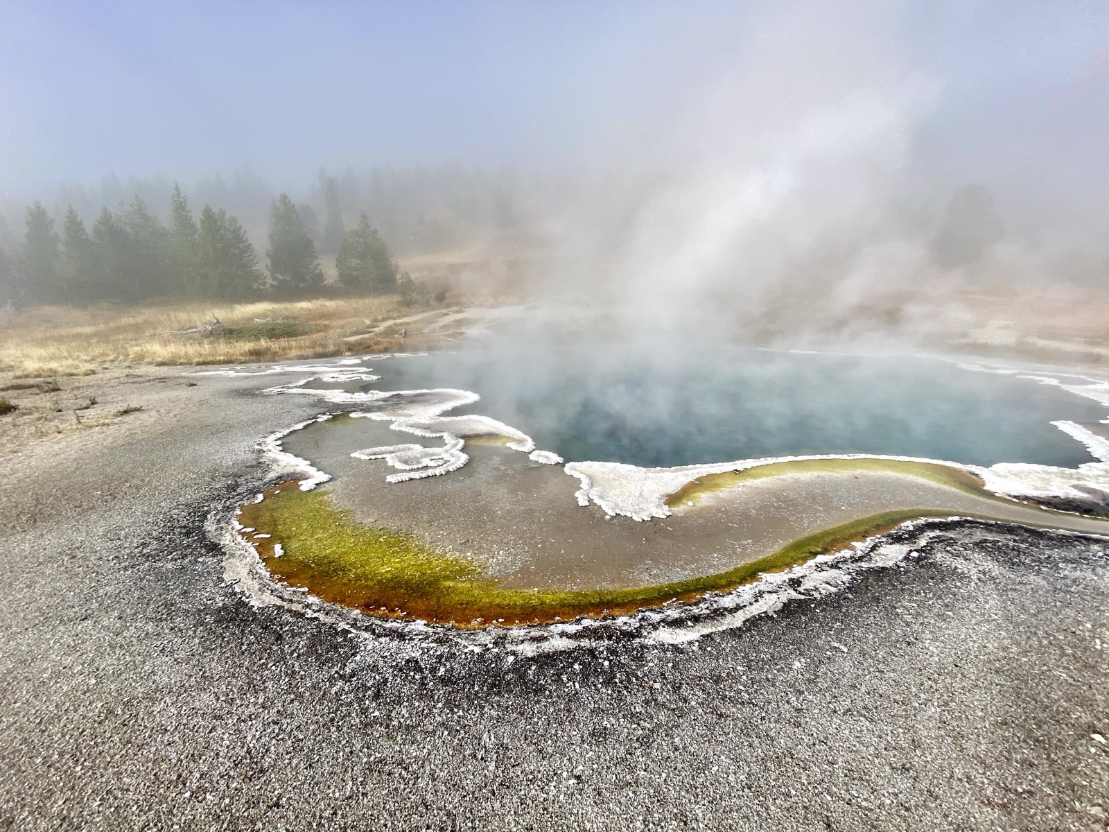 Yellowstone hot spring with vivid turquoise water